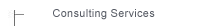 Consulting Servicer