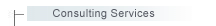 Consulting Servicer
